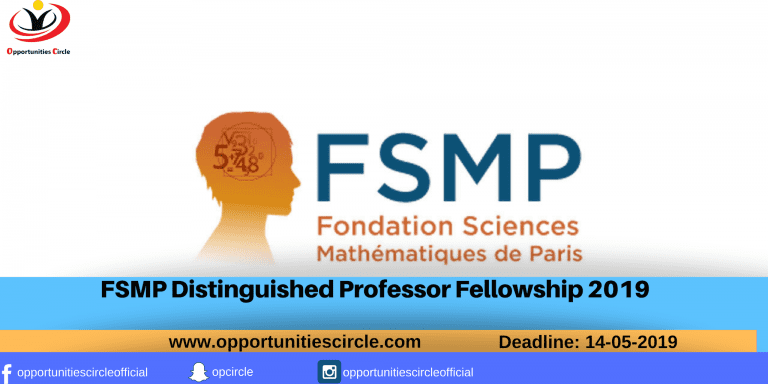FSMP Distinguished Professor Fellowship 2019