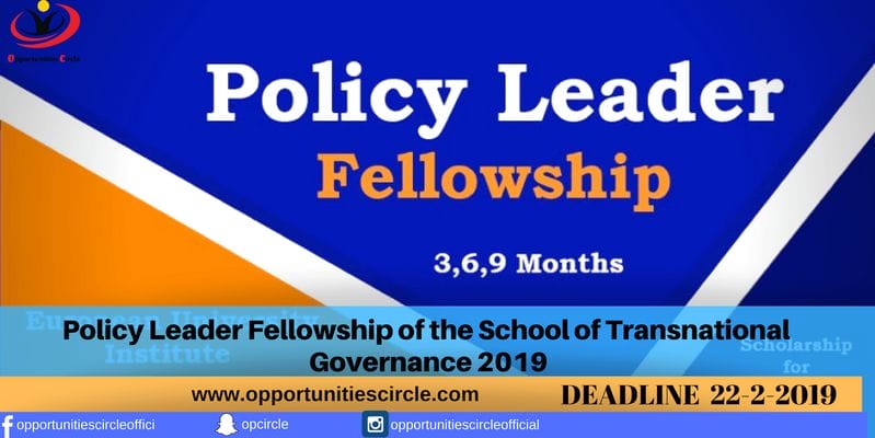 Policy Leader Fellowship of the School of Transnational Governance 2019