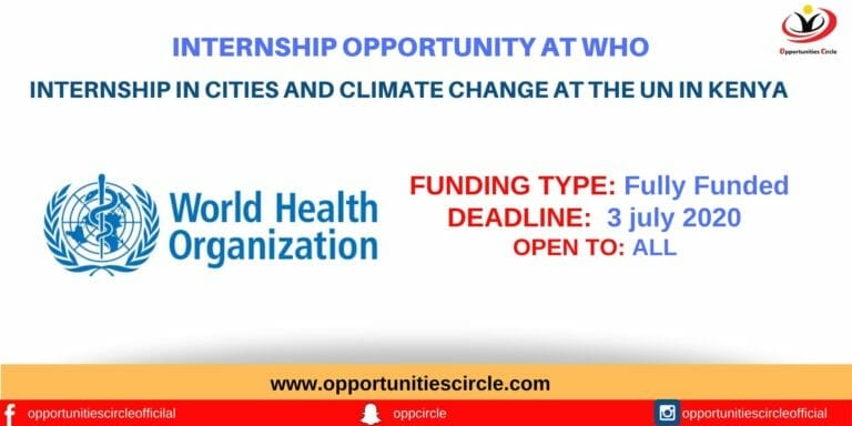 Internship In Cities and Climate Change at the UN in Kenya
