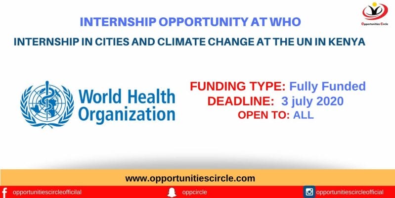Internship In Cities and Climate Change at the UN in Kenya