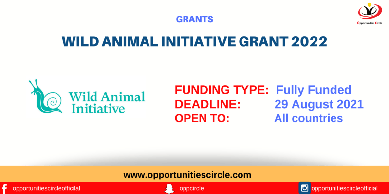Wild animal initiative grant