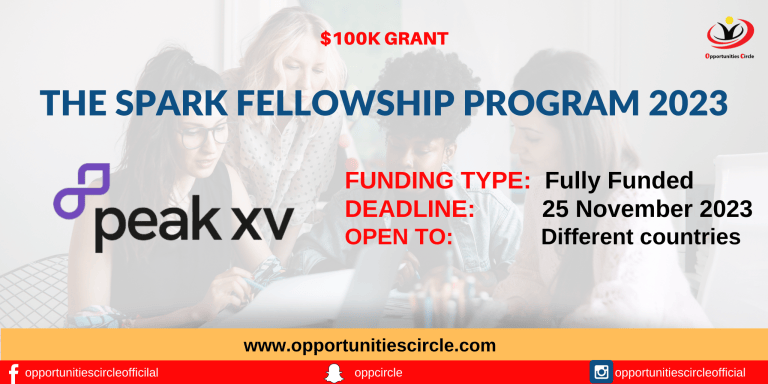 The Spark Fellowship 2023