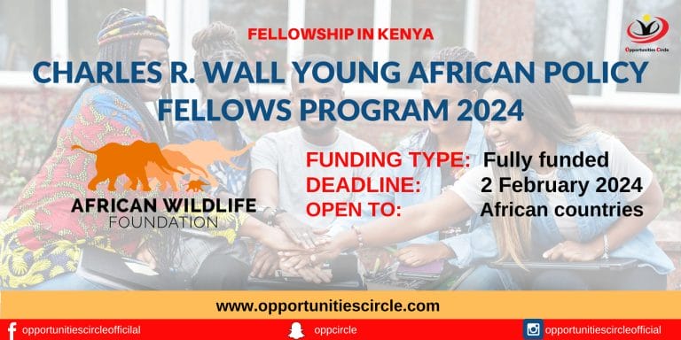 Charles R. Wall Young African Policy Fellows Program 2024