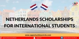 Scholarships in the Netherlands for International Students in 2024