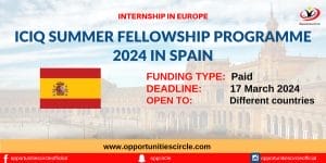 ICIQ Summer Fellowship Programme 2024 in Spain